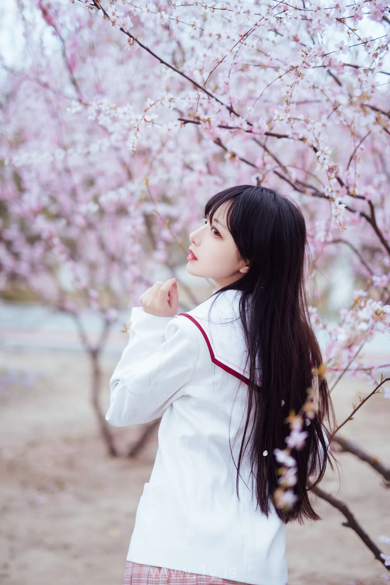 Coser@Shika小鹿鹿 NO.034 Appealing & Beautiful Chinese Hottie 樱花